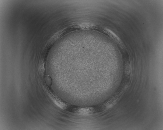 X0000082930405200702152153