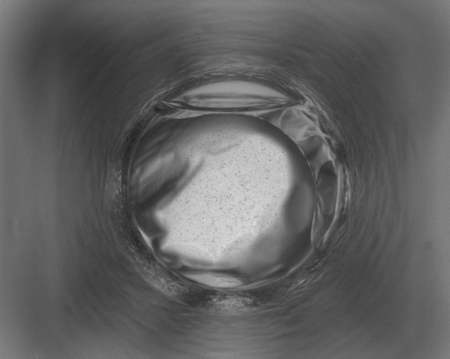 X0000082930407200702152152