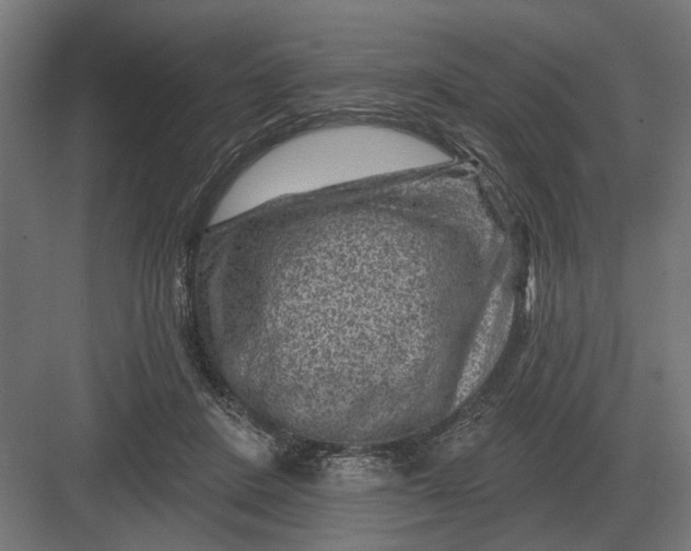 X0000082930408200702152152