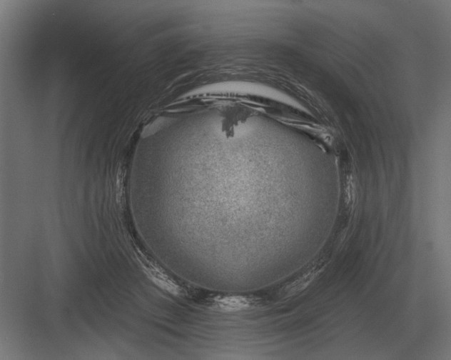 X0000082930409200702152152