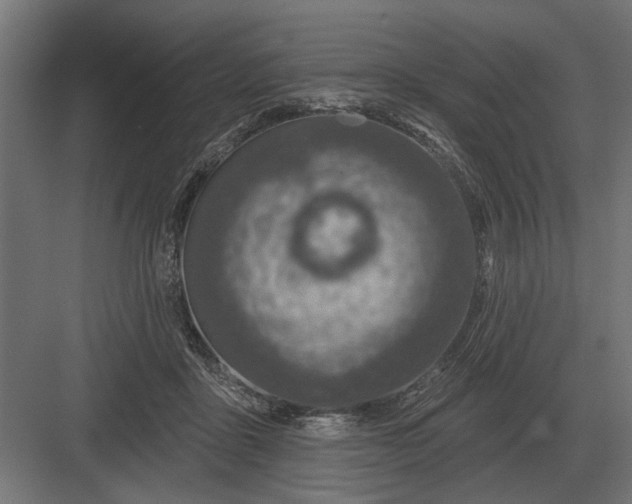 X0000082930411200702152152