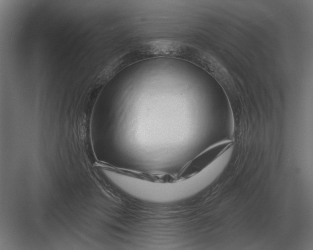 X0000082930413200702152152