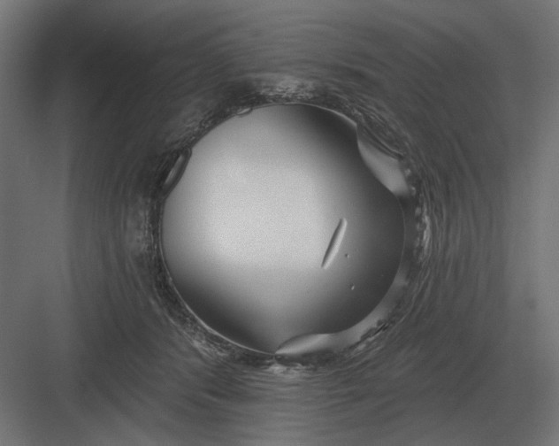 X0000082930416200702152152