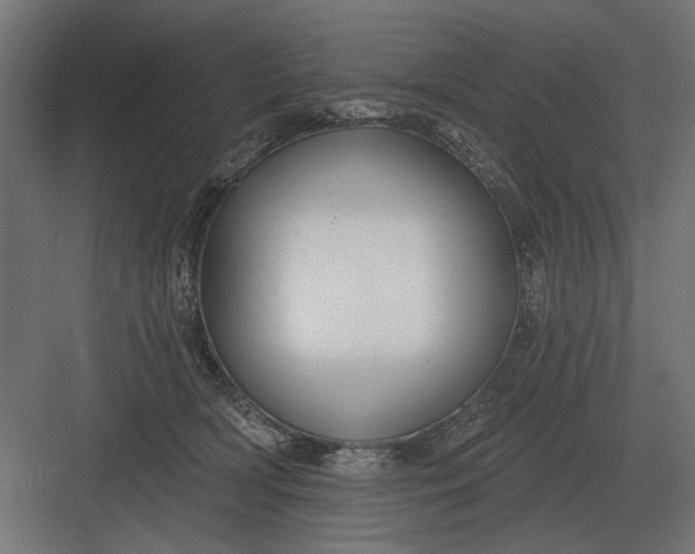 X0000082930418200702152152