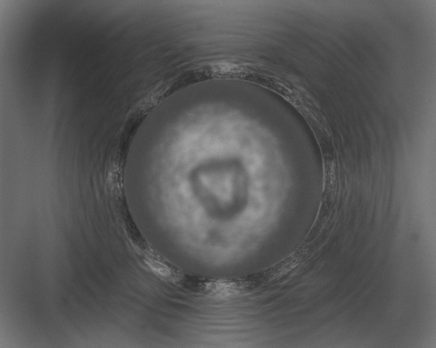 X0000082930419200702152152