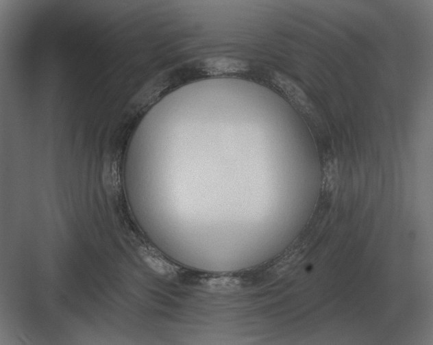 X0000082930426200702152152