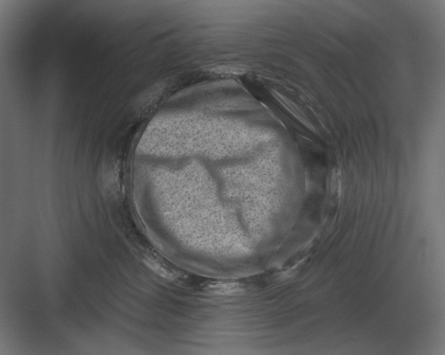 X0000082930428200702152152