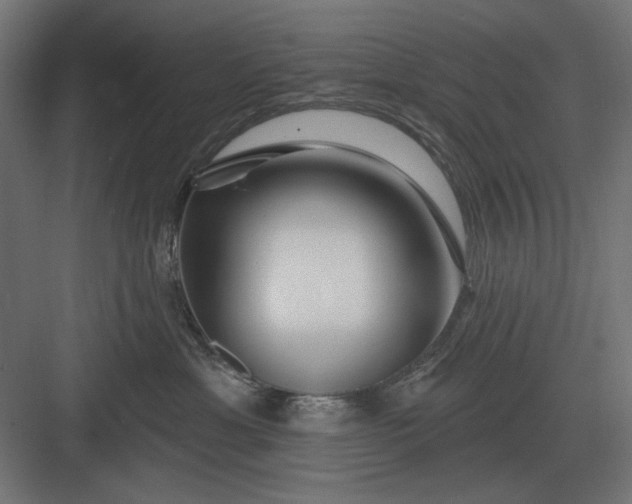 X0000082930429200702152152