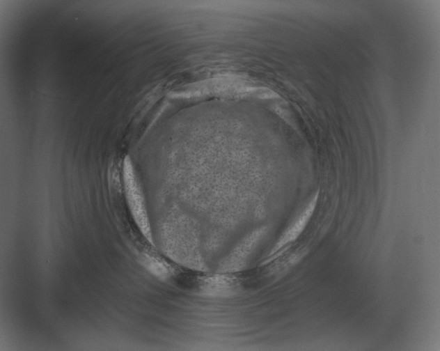 X0000082930432200702152152