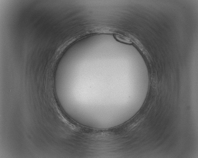 X0000082930433200702152151