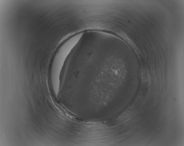 X0000082930434200702152151