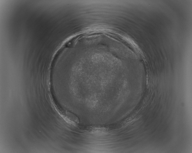 X0000082930438200702152151