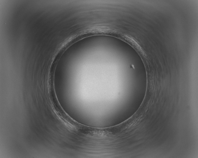 X0000082930439200702152151