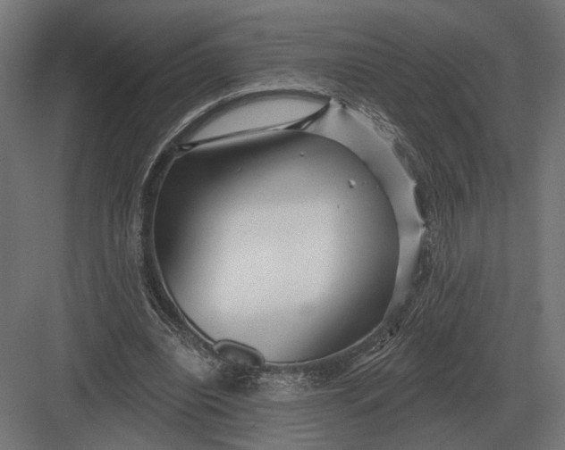 X0000082930440200702152151