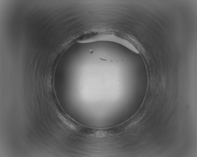 X0000082930441200702152151