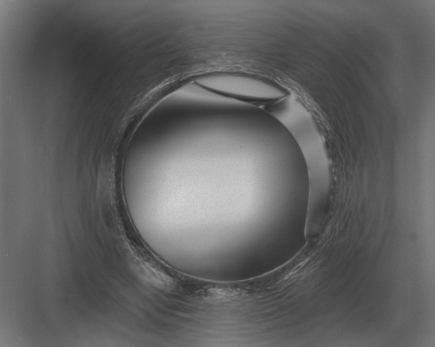 X0000082930442200702152151