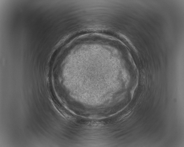 X0000082930443200702152151