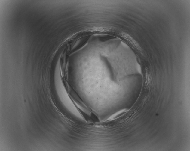 X0000082930444200702152151