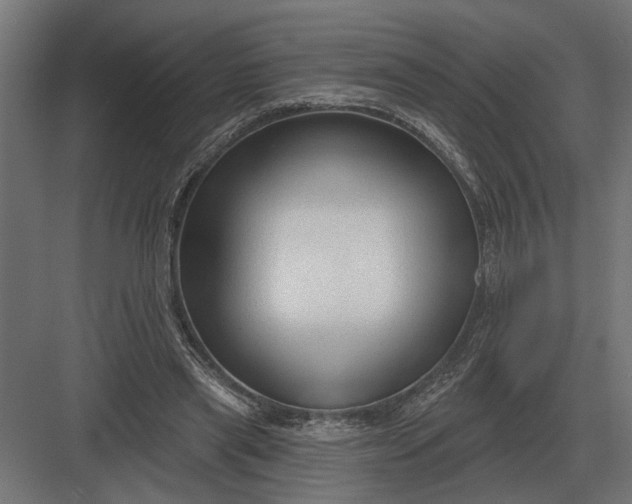 X0000082930445200702152151