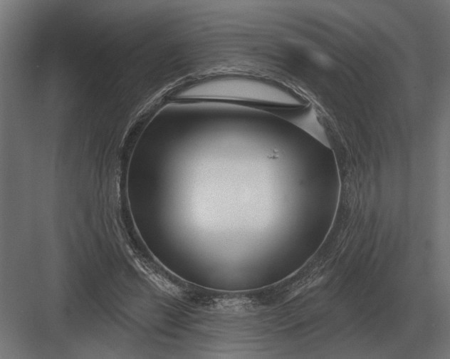 X0000082930446200702152151