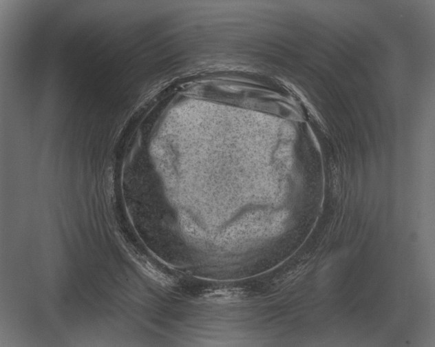 X0000082930447200702152151