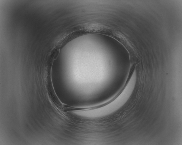 X0000082930448200702152151