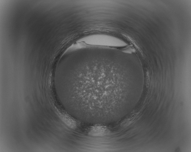 X0000082930451200702152152