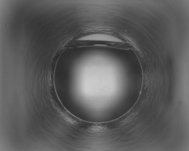 X0000082930453200702152152