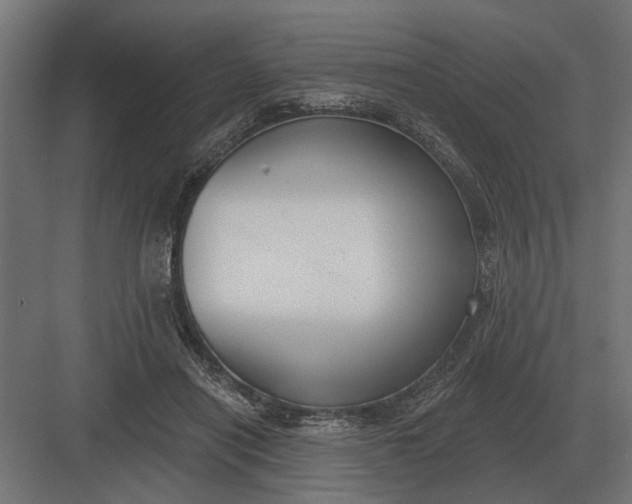 X0000082930454200702152152