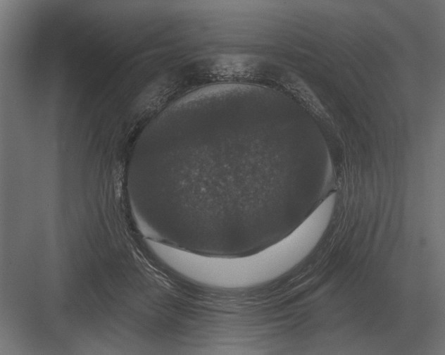 X0000082930458200702152152