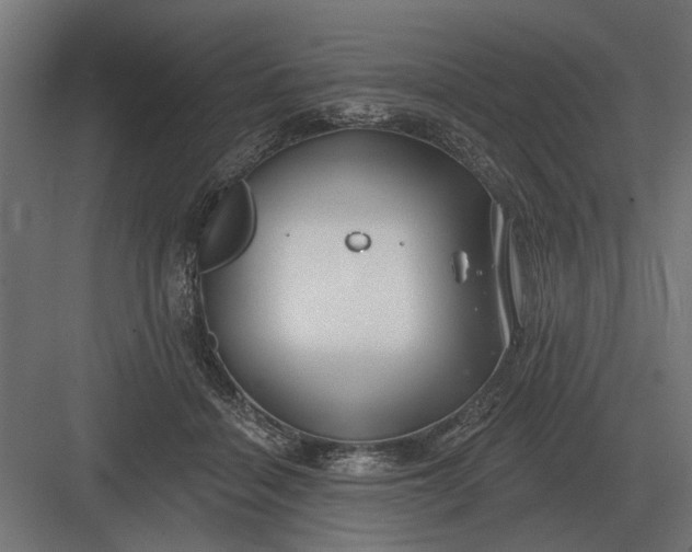 X0000082930460200702152152