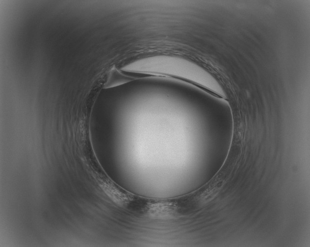 X0000082930461200702152152