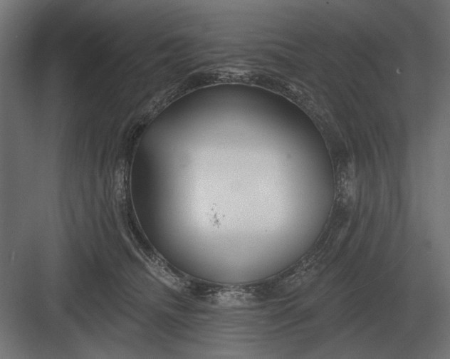 X0000082930468200702152152