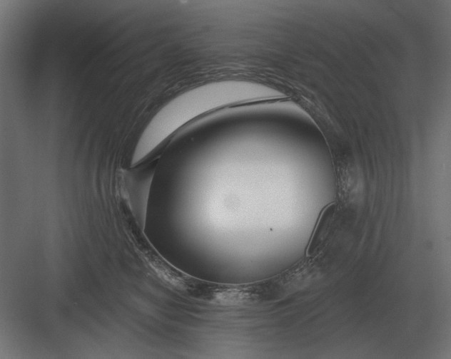 X0000082930470200702152152