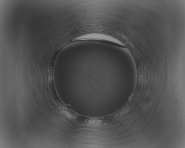 X0000082930471200702152152