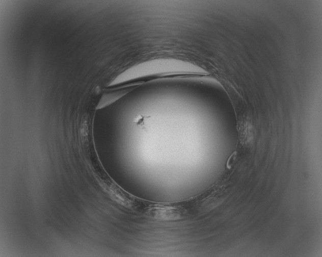 X0000082930472200702152152