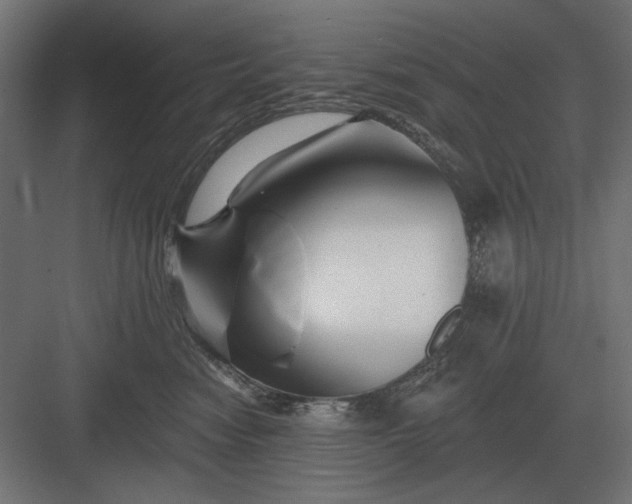 X0000082930474200702152152