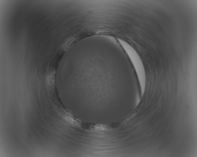 X0000082930475200702152152