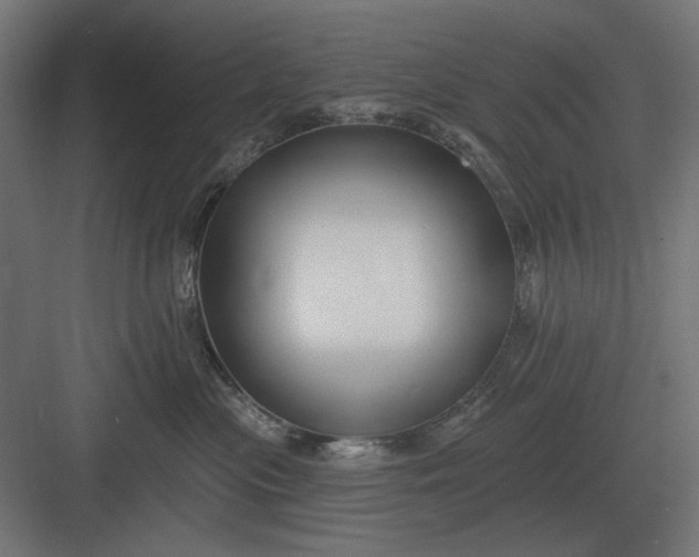 X0000082930477200702152152