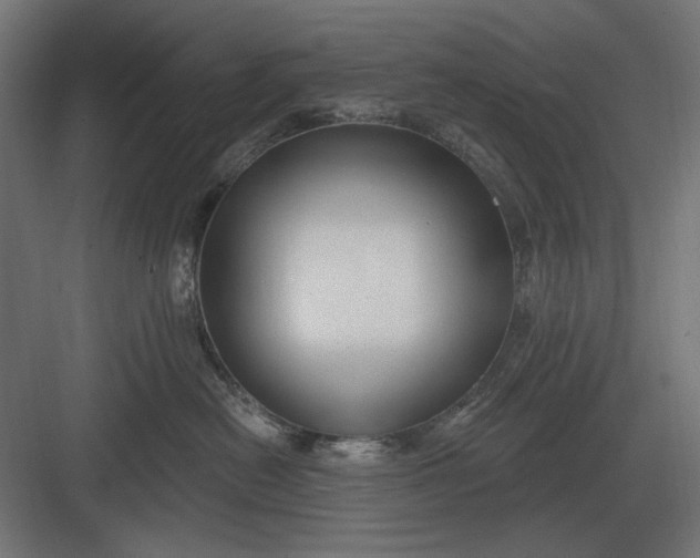 X0000082930478200702152152