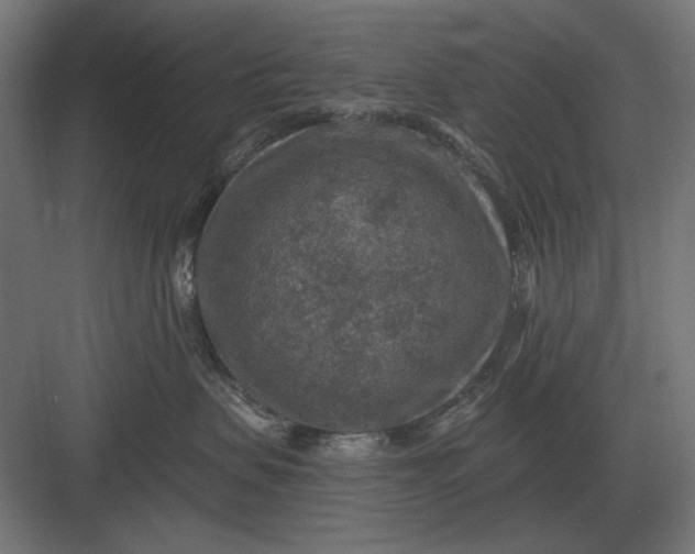 X0000082930479200702152152