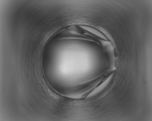 X0000082930481200702152151