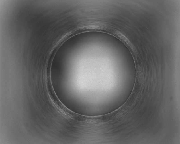 X0000082930482200702152151