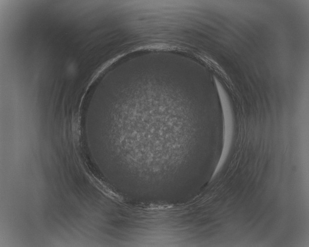 X0000082930484200702152151