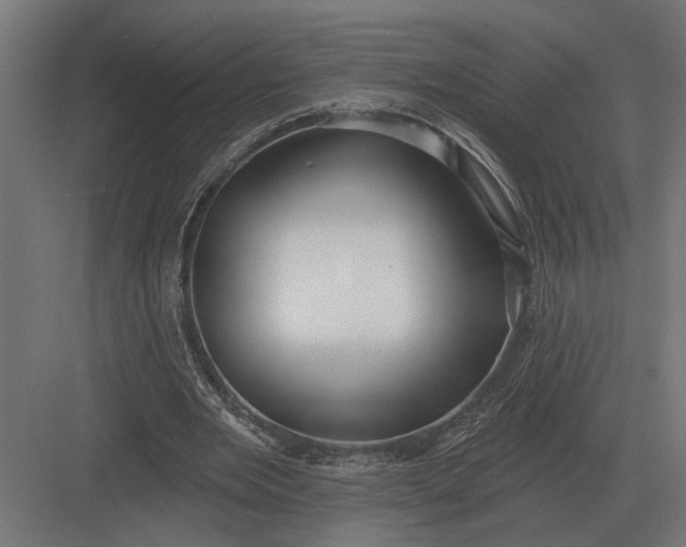 X0000082930485200702152151