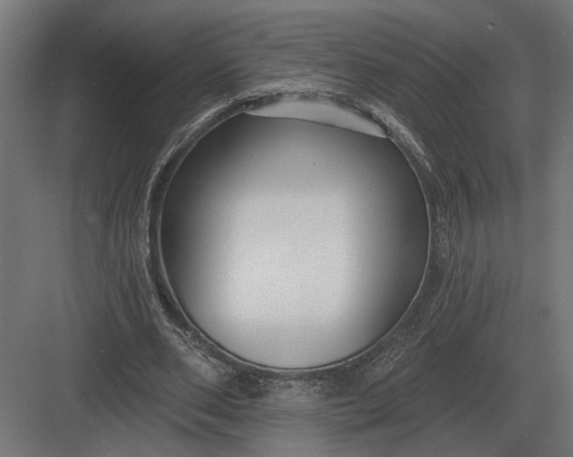 X0000082930486200702152151