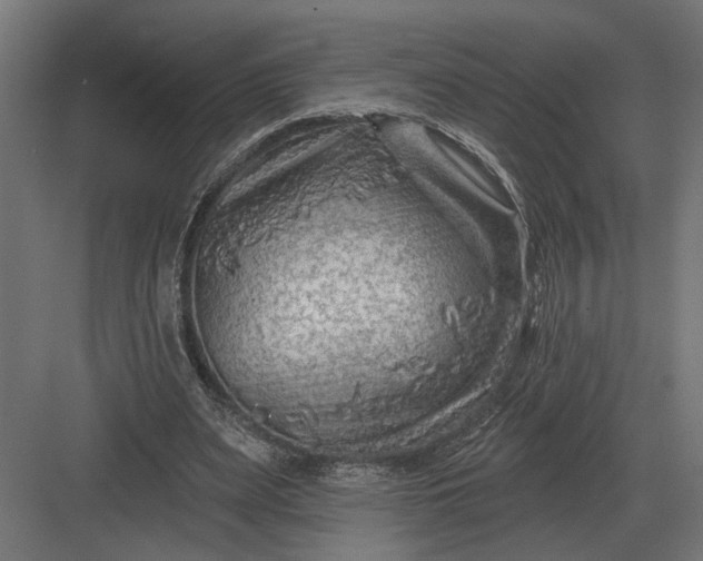 X0000082930487200702152151