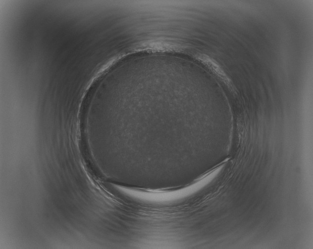 X0000082930488200702152151