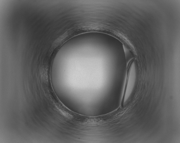 X0000082930489200702152151