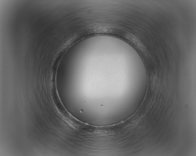 X0000082930490200702152151